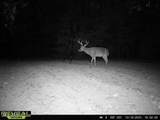 52 Ogden Road - Photo 40