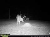 52 Ogden Road - Photo 41
