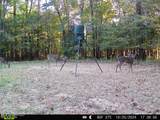 52 Ogden Road - Photo 43