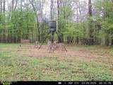 52 Ogden Road - Photo 44