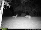 52 Ogden Road - Photo 45