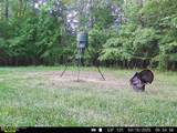 52 Ogden Road - Photo 47