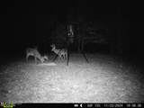 52 Ogden Road - Photo 49