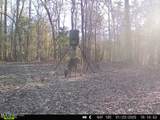 52 Ogden Road - Photo 51
