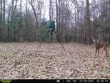 52 Ogden Road - Photo 52