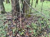 0 Cooperlow Road - Photo 36