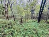 0 Cooperlow Road - Photo 4