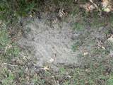 0 Cooperlow Road - Photo 49