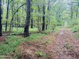 0 Cooperlow Road - Photo 52