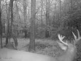0 Cooperlow Road - Photo 56