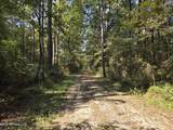 21.79 Acre Homer Ladner Road - Photo 2