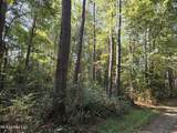 21.79 Acre Homer Ladner Road - Photo 3