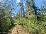  Quinlivan Rd - Photo 15