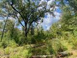  Quinlivan Rd - Photo 18