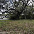 0 0 O'neal Road - Photo 7
