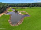869 Old Holmesville Road - Photo 5