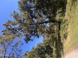  Betty Walton Road - Photo 1