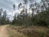 3600 Road 528 - Photo 5