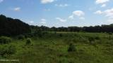 1725 Highway 51 Highway - Photo 21