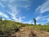 1 Highway 35 - Photo 2