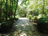 406 Orleans Street - Photo 42