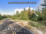 3114 County Road 212 - Photo 177