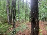 1063 Dry Creek Road - Photo 10