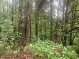 1063 Dry Creek Road - Photo 12