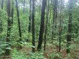 1063 Dry Creek Road - Photo 13