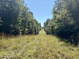 47 Mose Hilliard Road - Photo 1