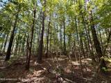 47 Mose Hilliard Road - Photo 10