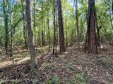 47 Mose Hilliard Road - Photo 14