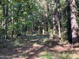 47 Mose Hilliard Road - Photo 4