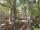 Lot 2 Crockett Road - Photo 2