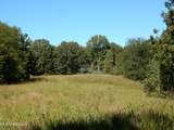 Lot 6 Crockett Road - Photo 1