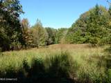 Lot 8 Crockett Road - Photo 1