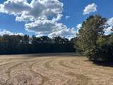  Hwy 43 - Photo 11