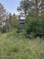 Hwy 43 - Photo 18