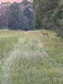 Hwy 43 - Photo 21