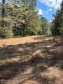  Hwy 43 - Photo 7