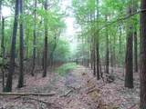  St Augustine Drive - Photo 10