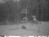  County Rd 176 - Photo 59