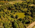 11657 Vaughan Road - Photo 35