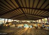 11657 Vaughan Road - Photo 51