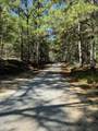00 County Road 39 - Photo 6