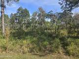  Pinehaven Drive - Photo 3