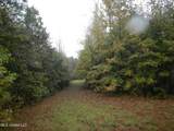 6977 Holly Grove-Meeks Road - Photo 5
