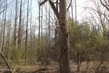5 Hollow Crossing Cove - Photo 13