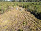 4058 Mcclain Road - Photo 12