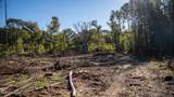 4058 Mcclain Road - Photo 25